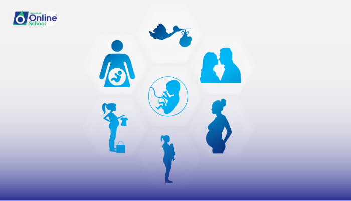 Lesson 20: Maternal Derived Abnormalities and Developmental Issues